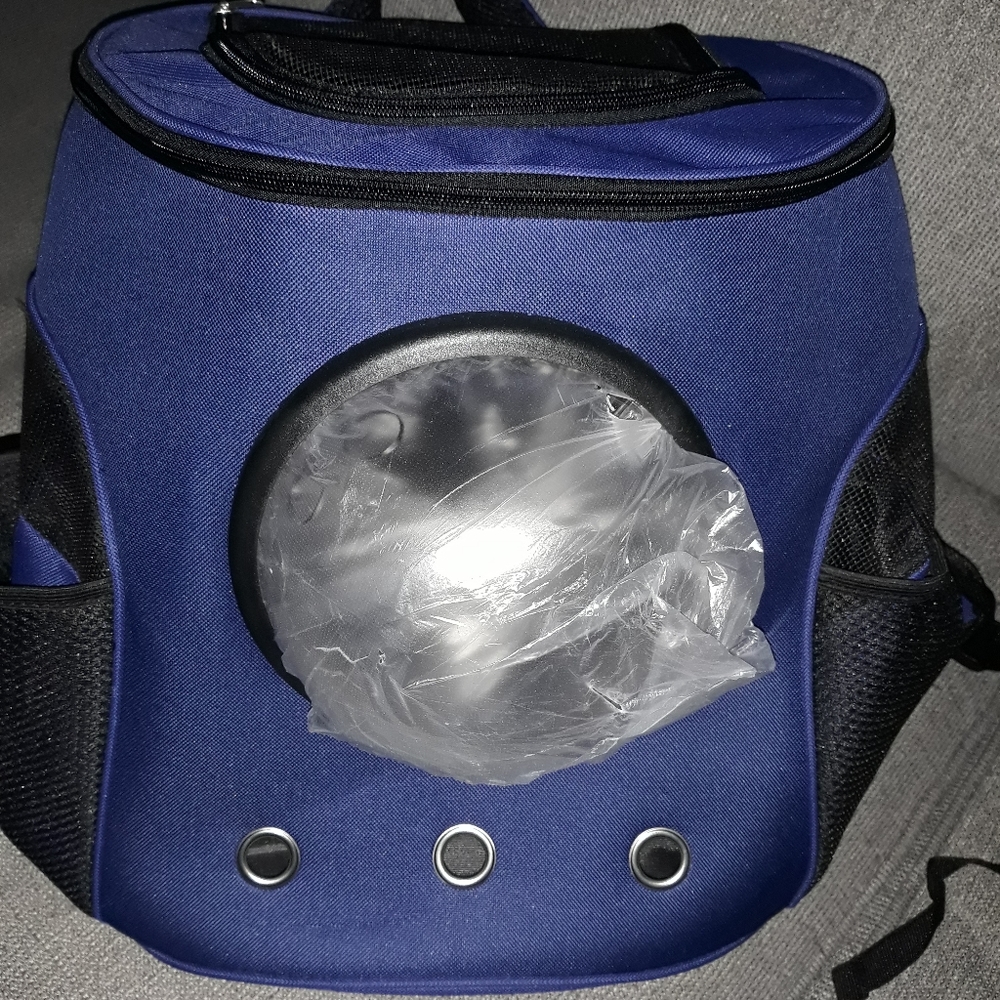 Cat or dog explore backpack